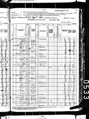 1880, Nancy Josey, Hopkins Co KY.jpg