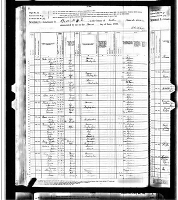 1880, Olive Emeline Josey Spear, Butler Co AL.jpg