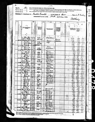 1880, Richard Josey, Rowan Co NC.jpg