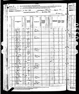 1880, Robert Waldo Josey Washington Co GA.jpg