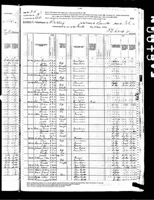 1880, Roberta Josey Robinson Sumter Co SC.jpg