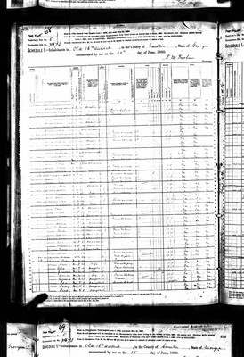 1880, Sally Josey B, Sumter Co GA.jpg