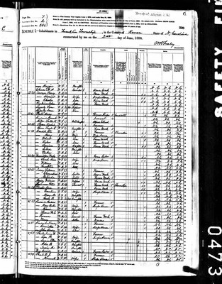 1880, Saloma Josey, Rowan Co NC.jpg