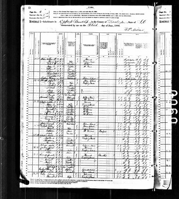 1880, Samuel Josey, Darlington Co SC, col.jpg