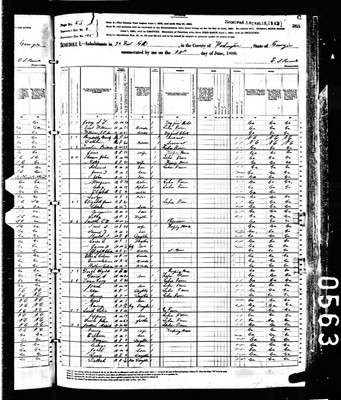 1880, Samuel Thomas Josey Washington Co GA.jpg