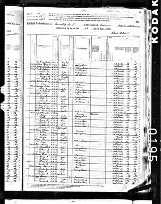 1880, Sarah Josey, Cabarrus Co NC.jpg