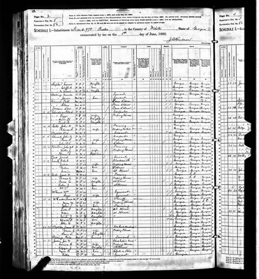 1880, Syon B Jossey, Webster Co GA.jpg