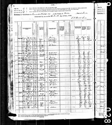 1880, Theophilus J Josey, Walker Co TX.jpg