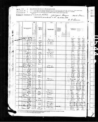 1880, Thomas Jefferson Josey Brazos Co TX.jpg