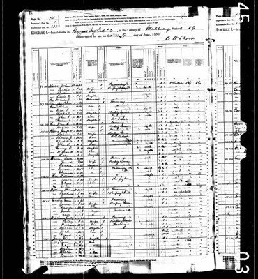 1880, Vera Josey, Muhlenberg Co KY.jpg