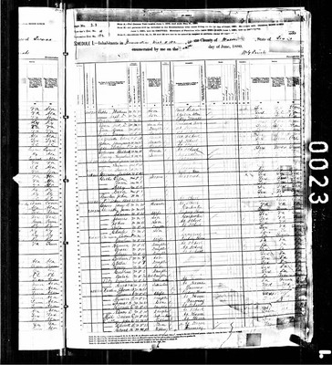 1880, William H Josey Walker Co TX.jpg