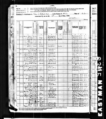 1880, William Henry Josey Halifax Co NC.jpg