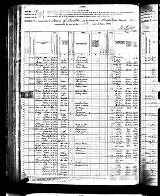 1880, William Josey, Hempstead Co AR.jpg