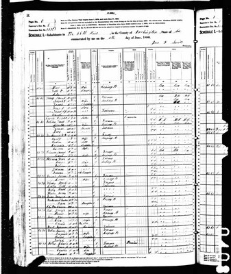 1880, William Josey, Washington Co GA.jpg