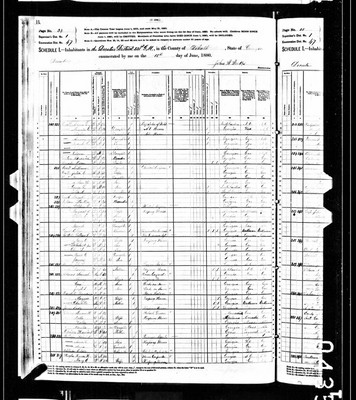 1880, William W Jossey, De Kalb Co GA.jpg