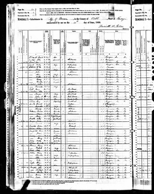 1880, Willy Josey B, Bibb Co GA.jpg