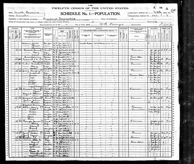 1900, Alice Smith Josey, Sumter Co SC.jpg