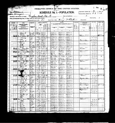 1900, Amanda Josey Banister Covington Co AL.jpg