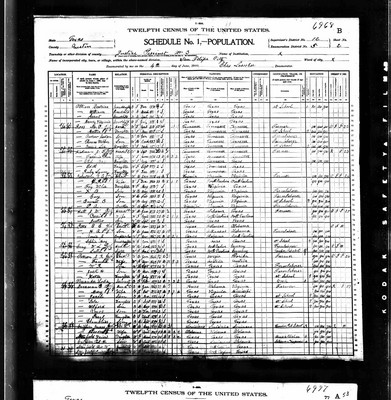 1900, Annie Josey Pitts Austin Co TX.jpg