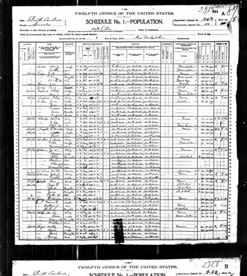 1900, David Edward Wilson Josey, Sumter Co SC.jpg