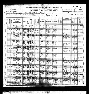 1900, Emily Josey Stallings, Brazos Co TX.jpg