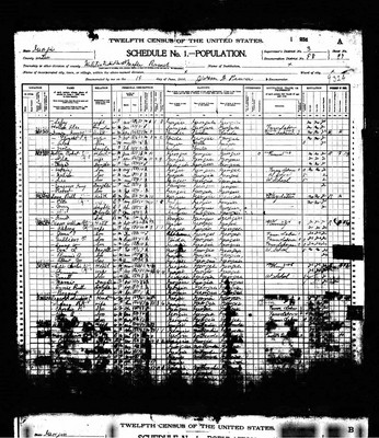 1900, Frances A Josey Cason Dooly Co GA.jpg