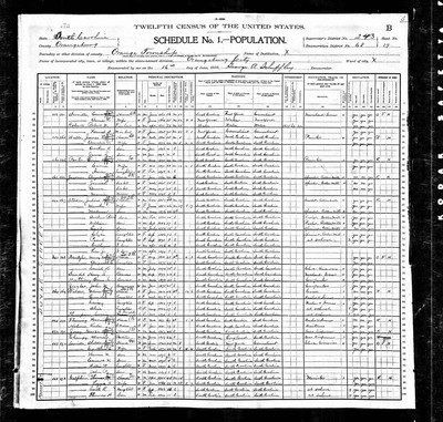 1900, George Benjamin Josey, Orangeburg Co SC.jpg