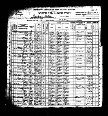 1900, Harriet Josey Cross, Covington Co AL.jpg