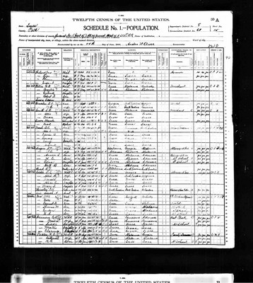 1900, Hattie Josey Drew, Polk Co TX.jpg