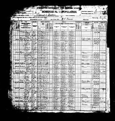 1900, James William Josey, Covington Co AL.jpg