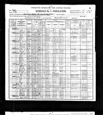 1900, Margaret Josey Sprott, Polk Co TX.jpg