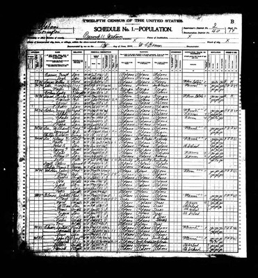 1900, Martha Josey Lee Covington Co AL.jpg