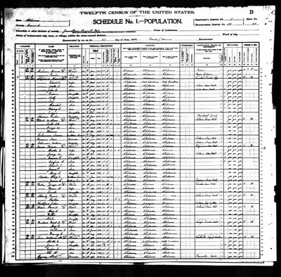 1900, Martha Josey Stanley, Conecuh Co AL.jpg