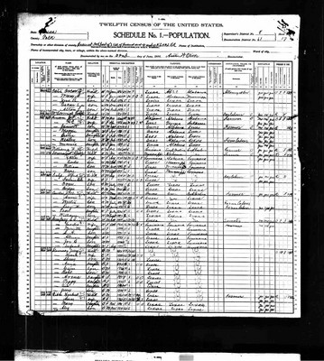 1900, Mary Josey Oates, Polk Co TX.jpg