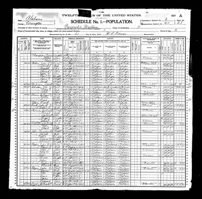 1900, Mary Josey Payne, Covington Co AL.jpg