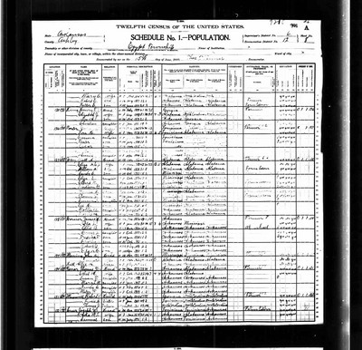 1900, Matt A Josey, Ashley Co AR.jpg