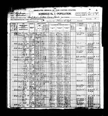 1900, Nancy A Josey Solomon Crenshaw Co AL.jpg