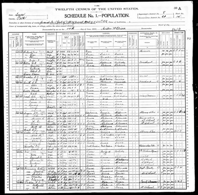 1900, Nancy Josey Feagin, Polk Co TX.jpg