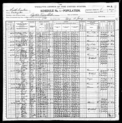 1900, Rufus Manasseh Josey, Darlington Co SC.jpg