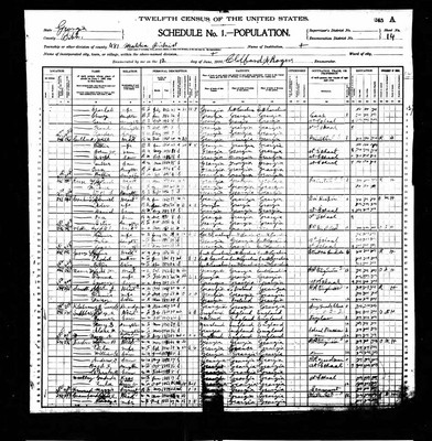 1900, Rufus Mindinghall Josey, Bibb Co GA.jpg