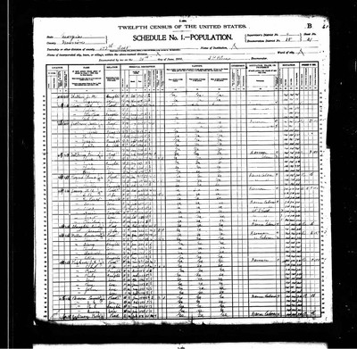 1900, William Brantley Jossey Marion Co GA.jpg