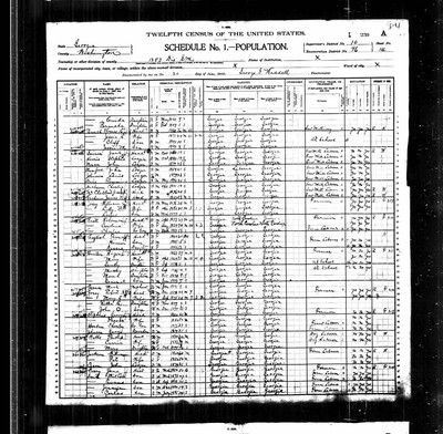 1900, William Lee Josey Washington Co GA.jpg