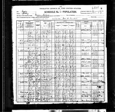 1900, William R Jossey, Spalding Co GA.jpg