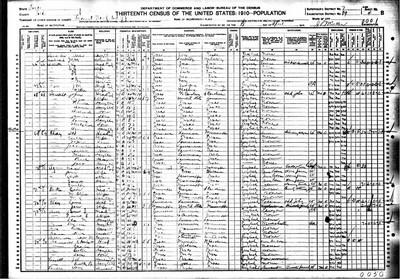 1910, Hattie Josey Drew, Polk Co TX.jpg