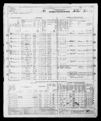 1950, Josey, Ervin J & Ollie Wyatt Bridges, Stewart Co, GA.jpg
