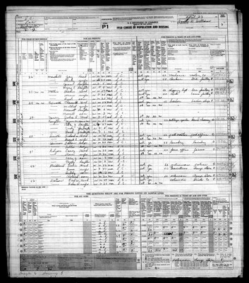 1950, Josey, Julia D Scarborough, Lee Co, SC.jpg