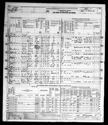 1950, Josey, Lizzie C, Decator Co, GA.jpg