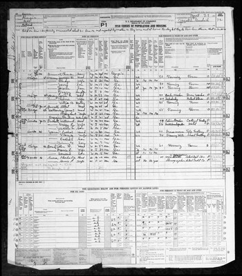 1950, Josey, Loring C & Thelma D Schmidt, Bibb Co, GA.jpg