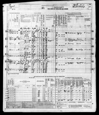 1950, Josey, Richard Clifford & Nettie Brooks, Covington Co, AL part 1.jpg