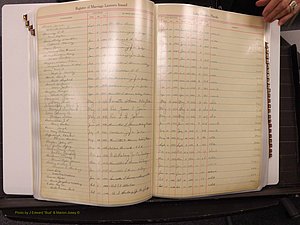 Lake Co, FL Marriage Book 2, 1929-1944 Index D9.JPG